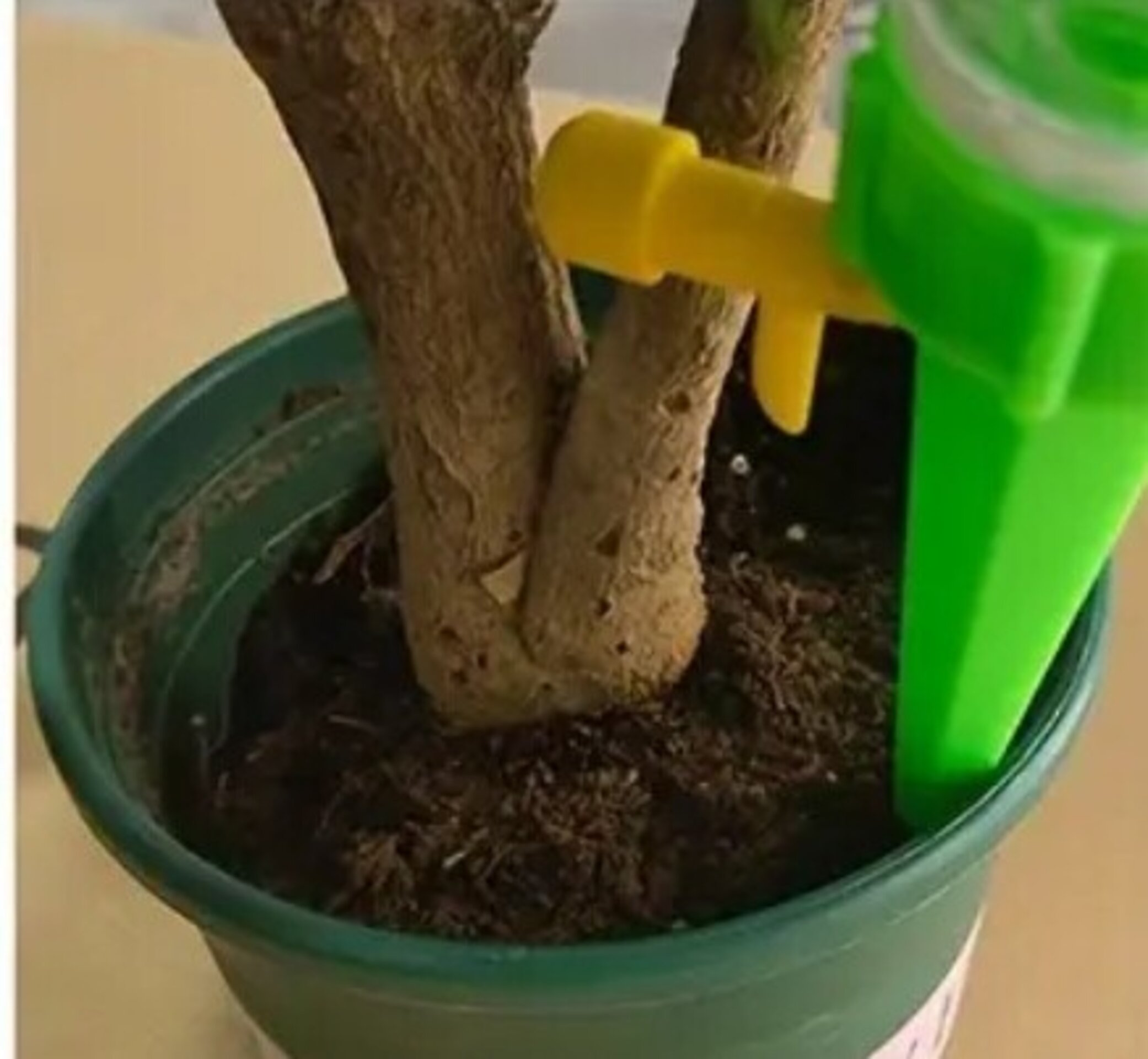 Riego automático - 7