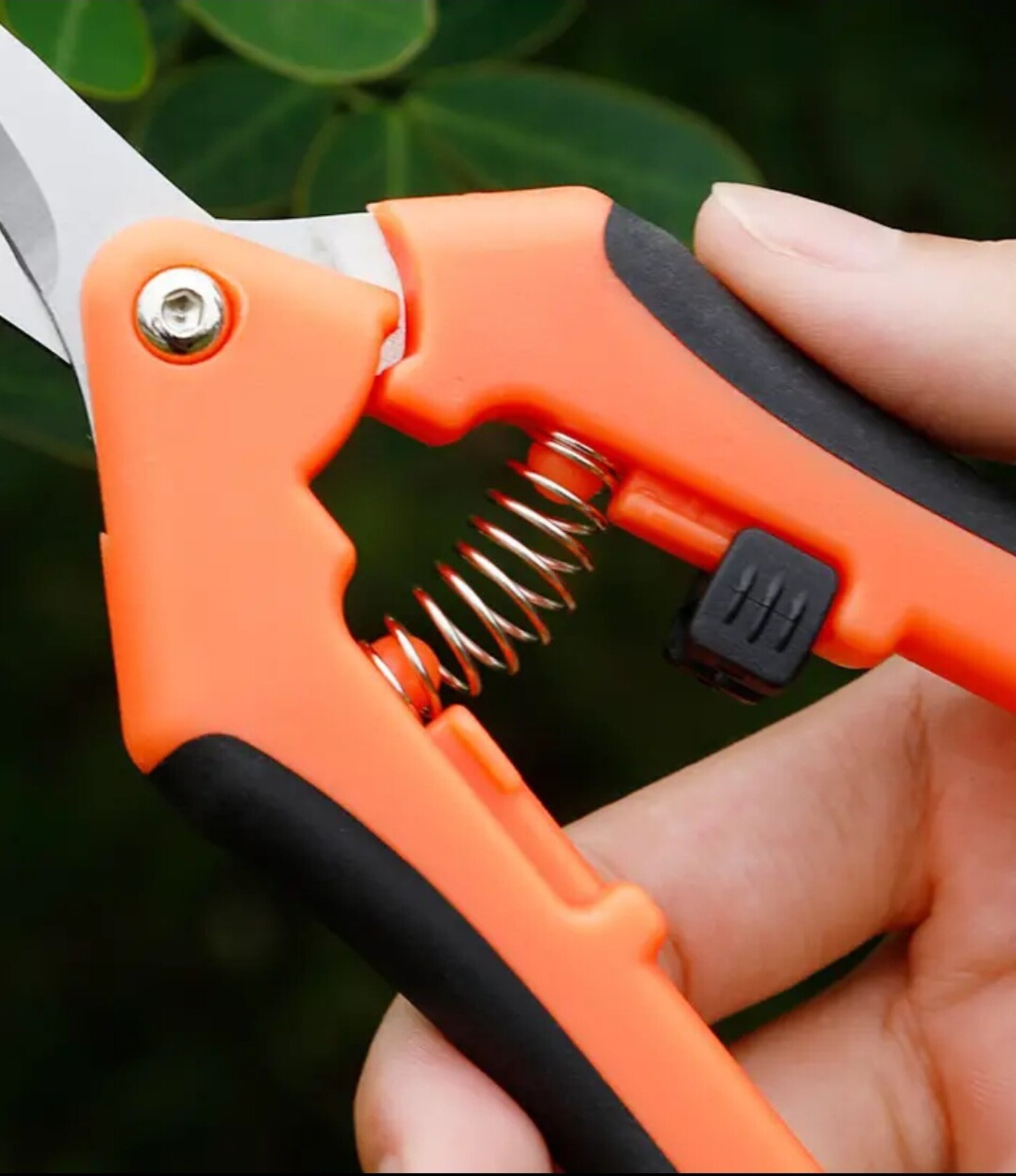 Tijera Para Recoger Fruta Naranja - 6