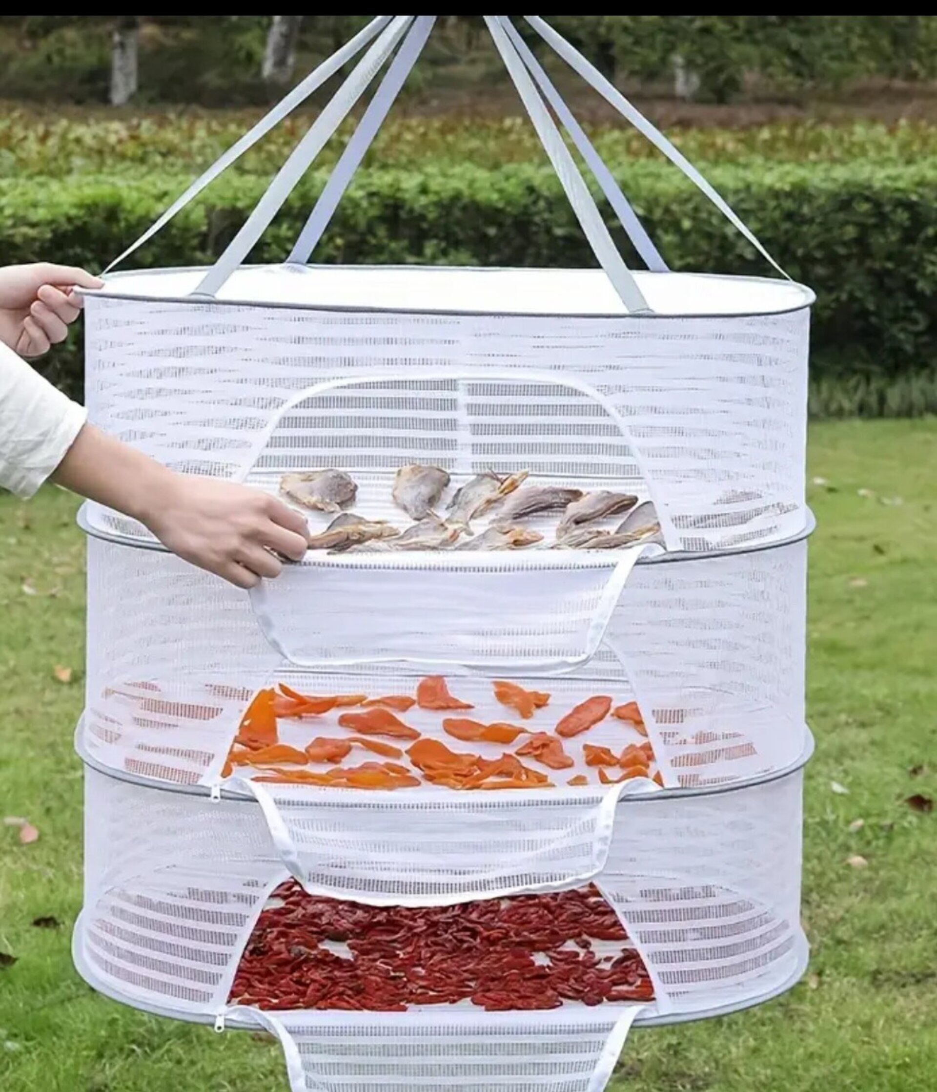 Secador Alimentos Profesional 3 Pisos - 5