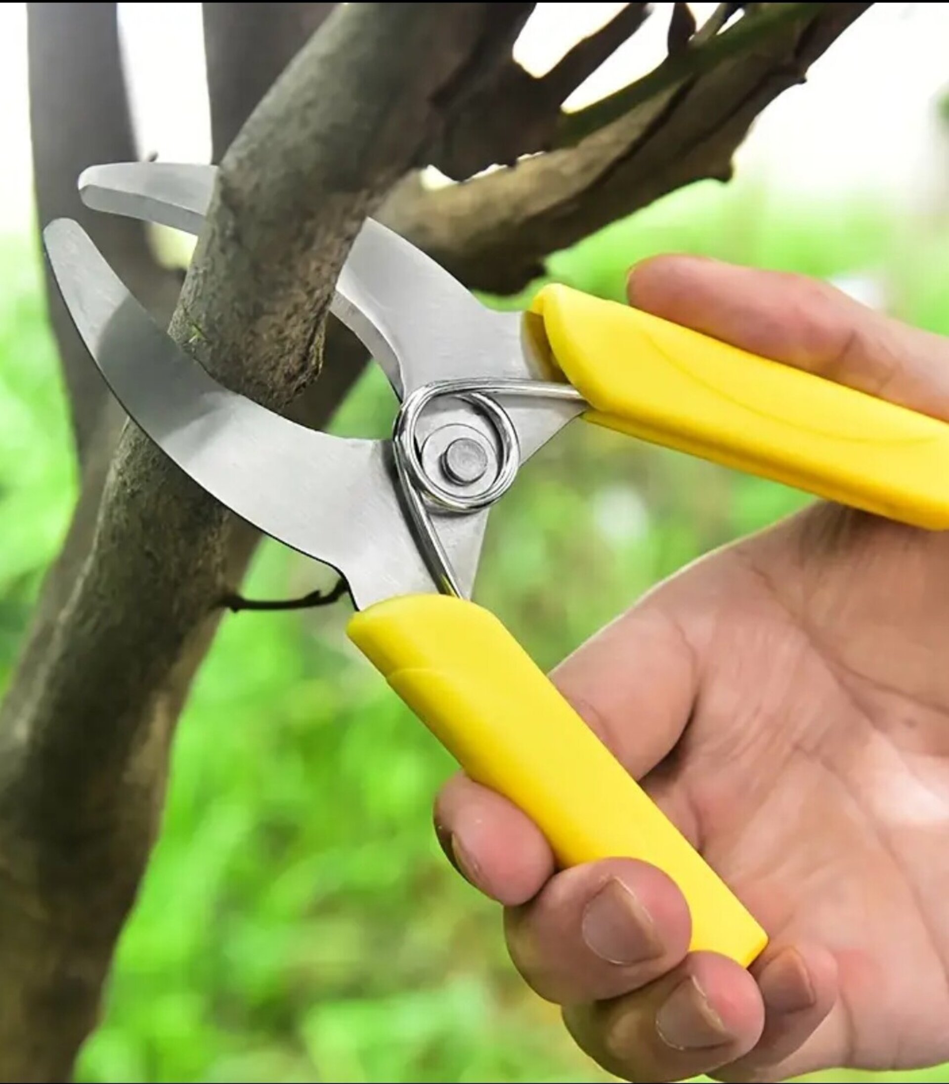 Cortador De Anillos Amarillo - 2