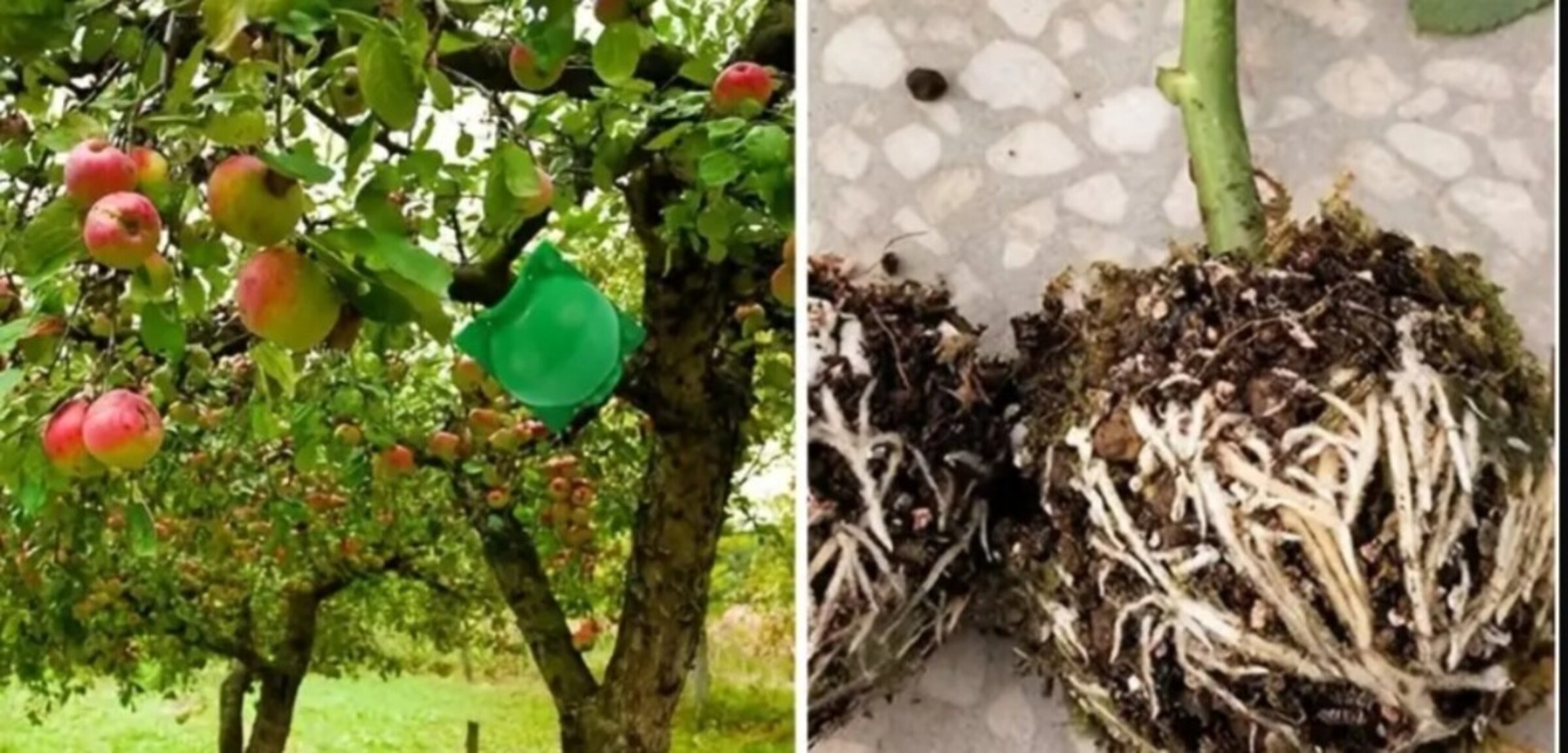 Accesorios importantes