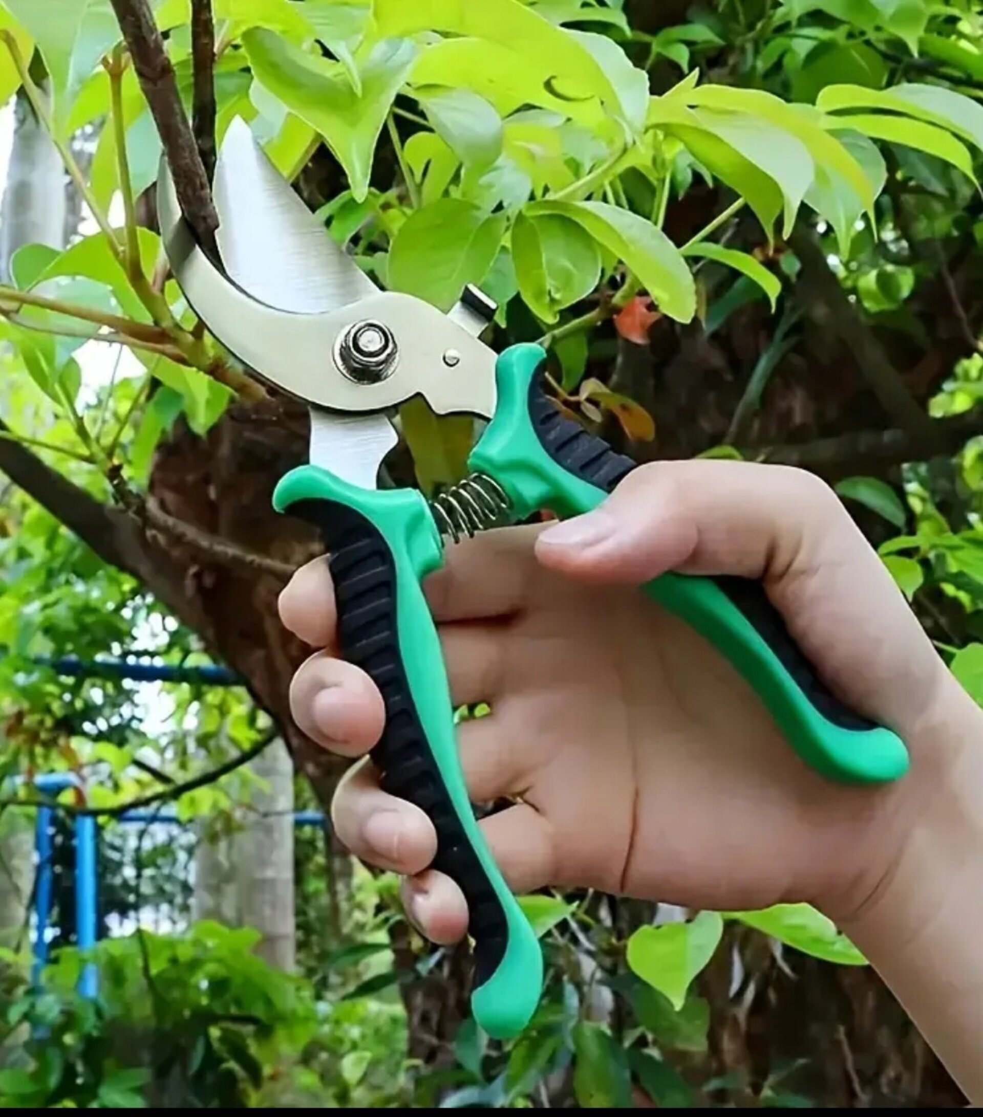 Tijeras De Podar Profesionales Verde - 3