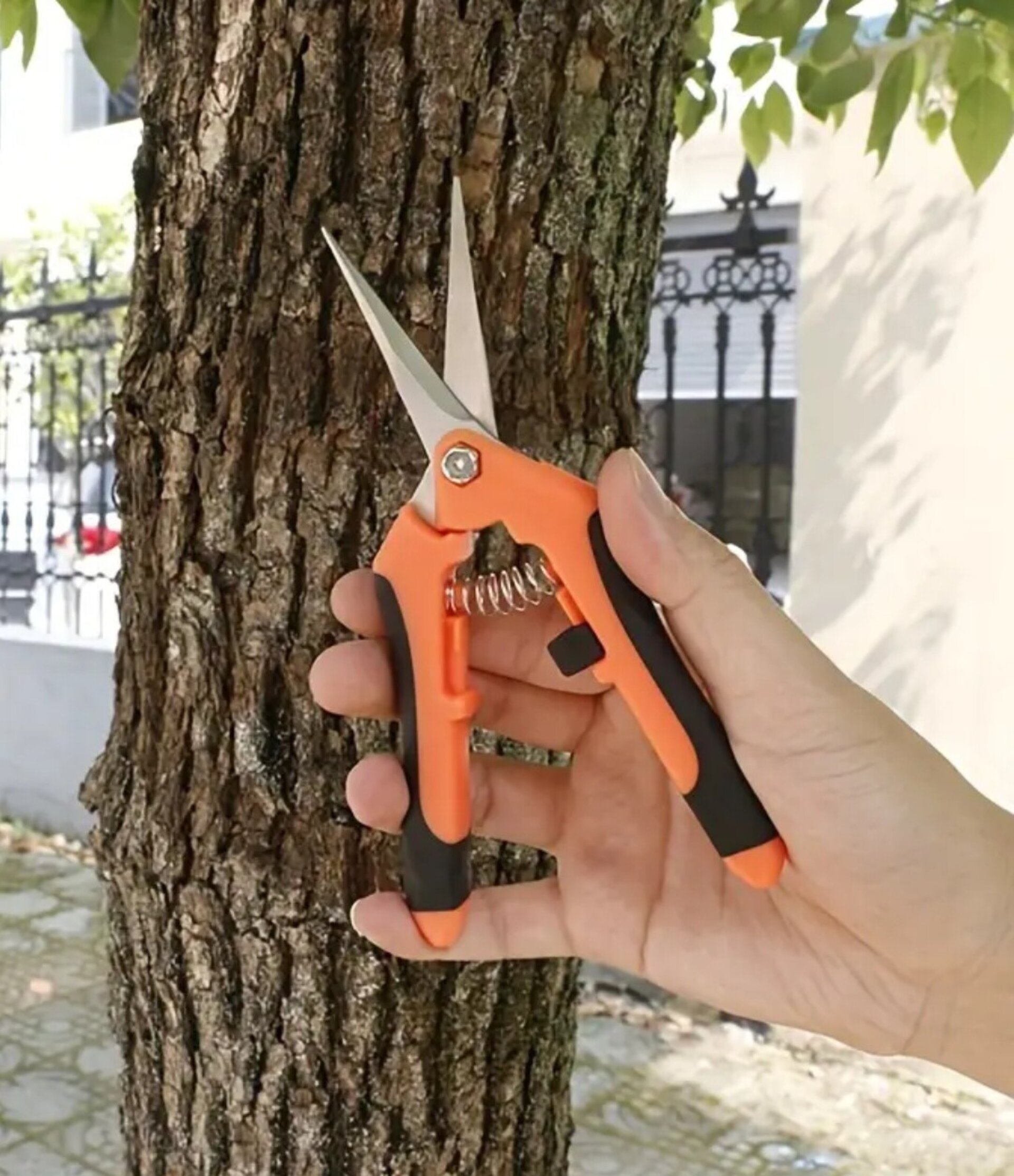 Tijera Para Recoger Fruta Naranja - 2