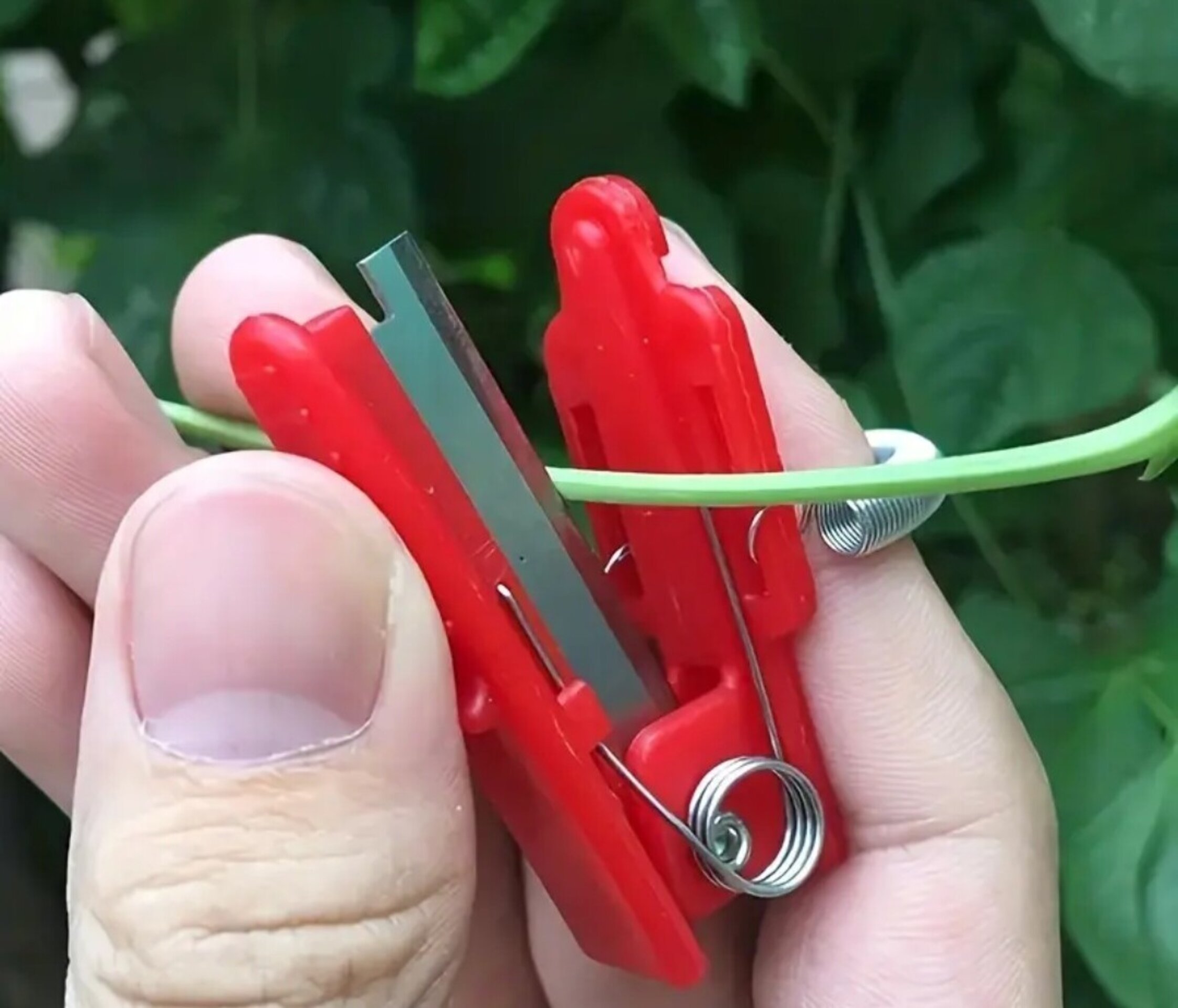 Cuchillo De Pulgar - 5