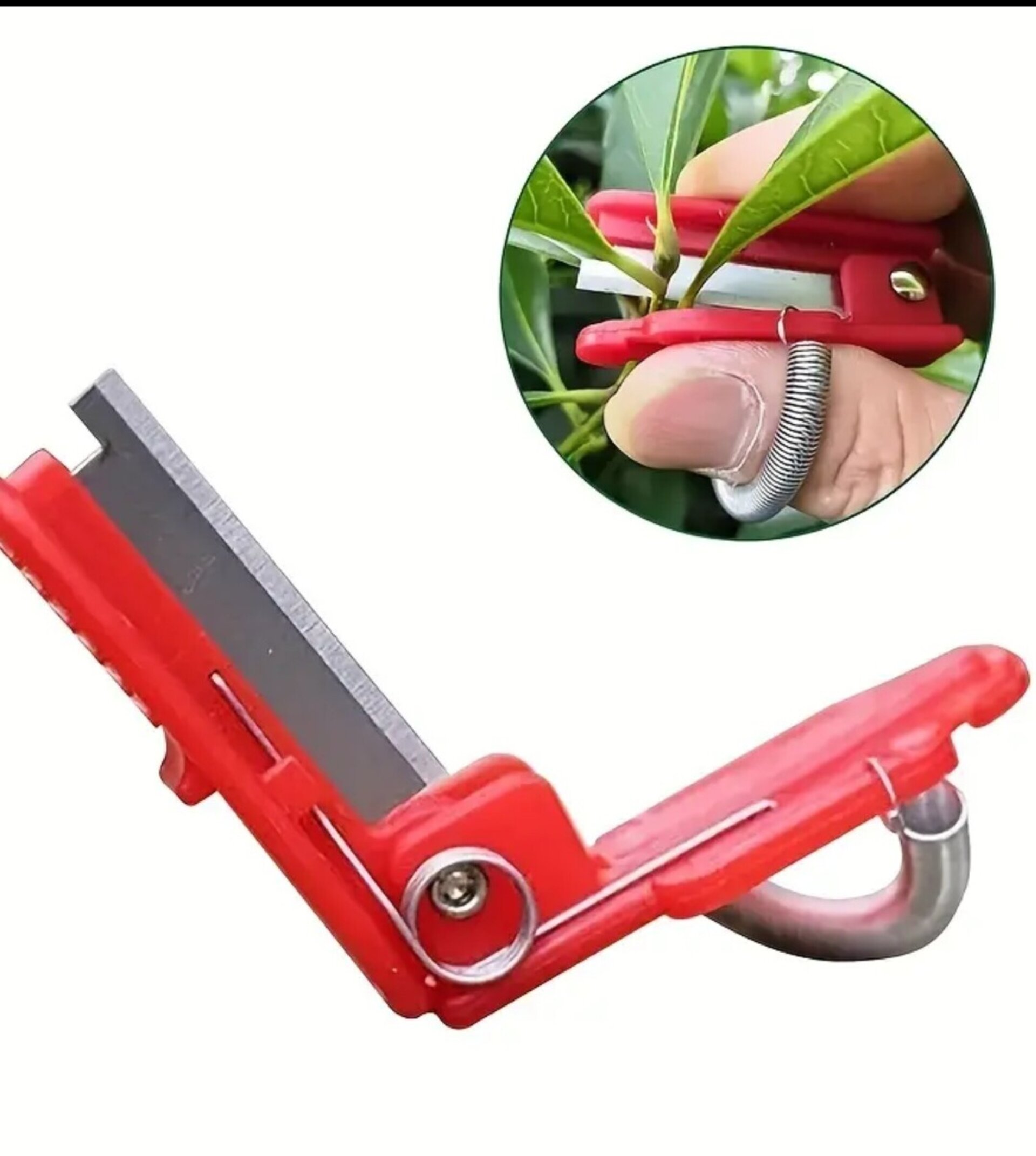 Cuchillo De Pulgar - 4