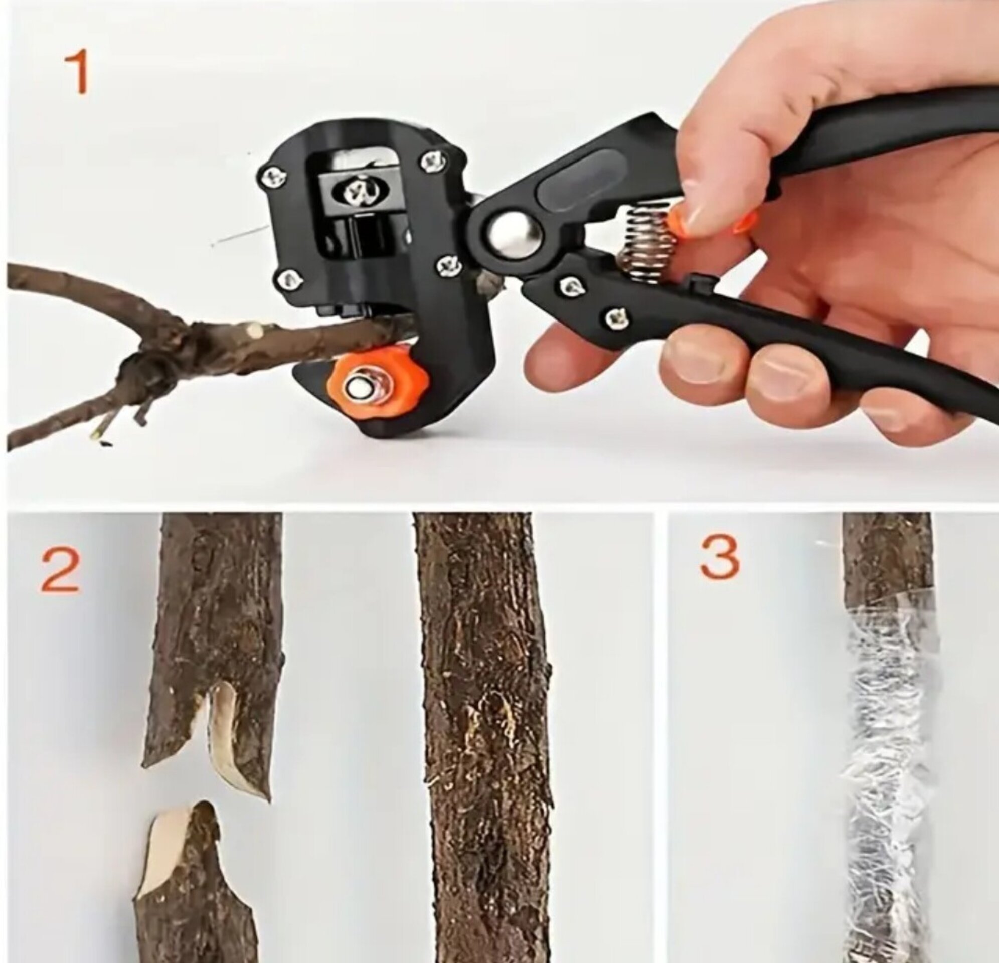 Tijeras De injertar - 7