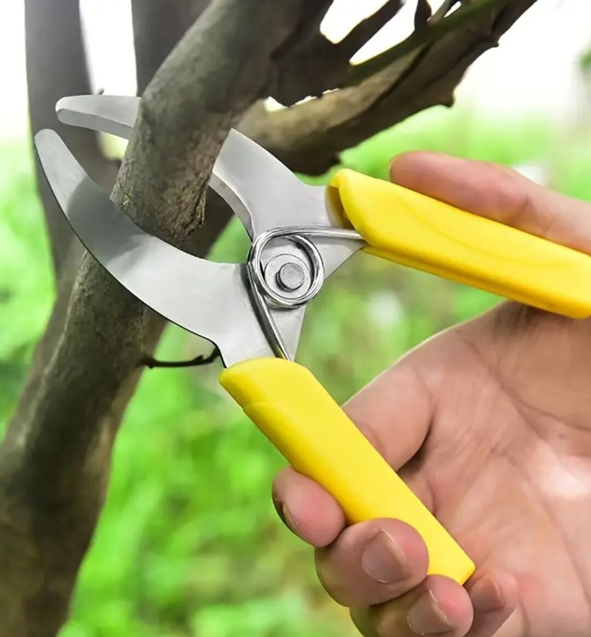 Cortador De Anillos Amarillo - 6