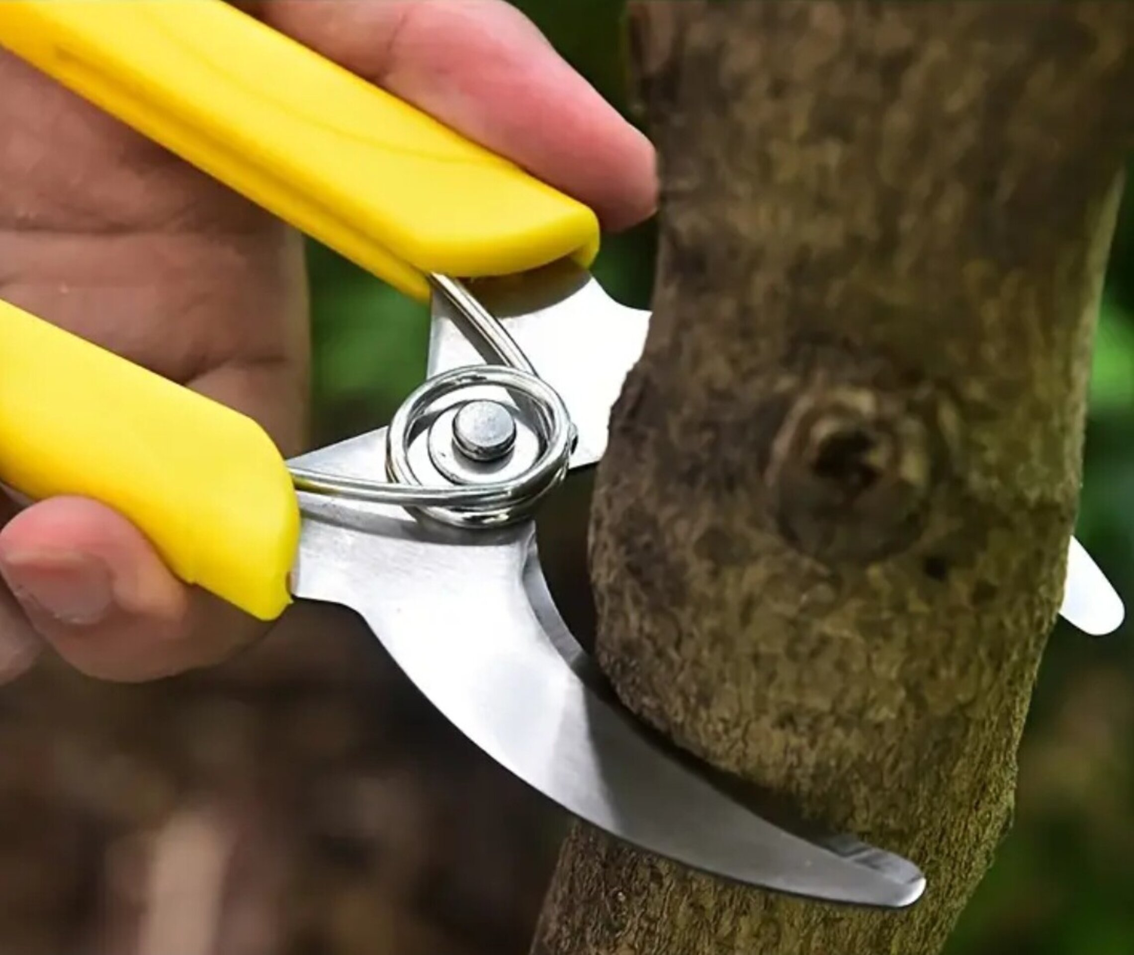Cortador De Anillos Amarillo - 3