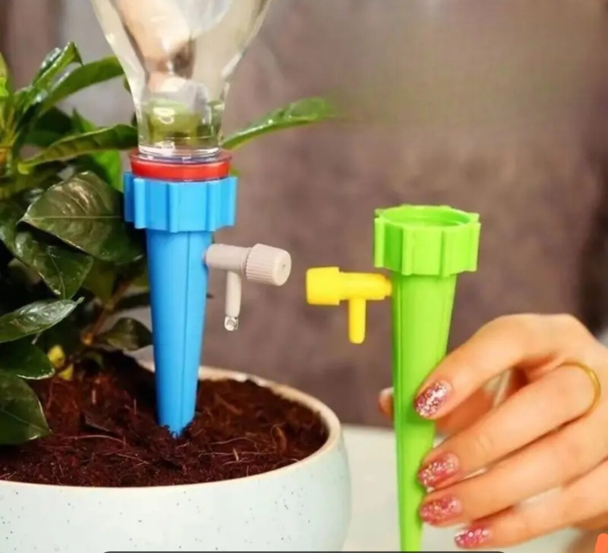 Riego automático premium - 10