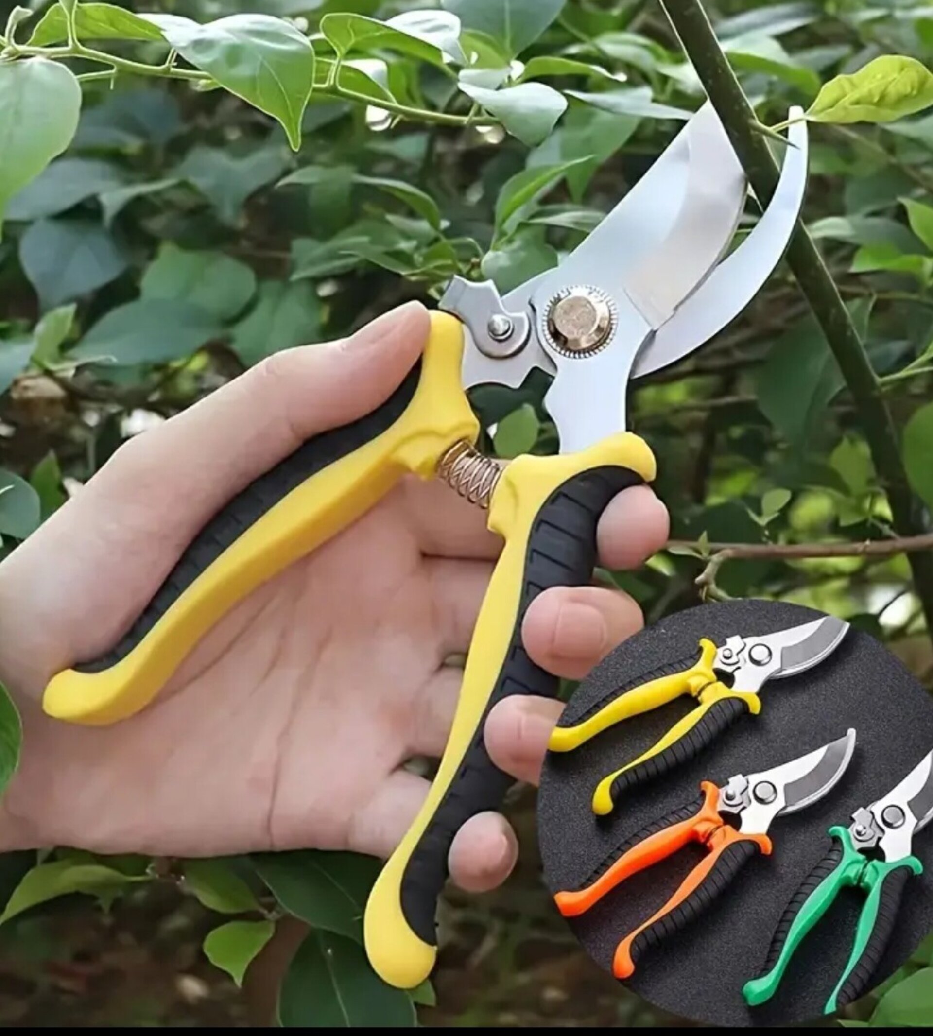 Tijeras De Podar Profesionales Amarillas - 6