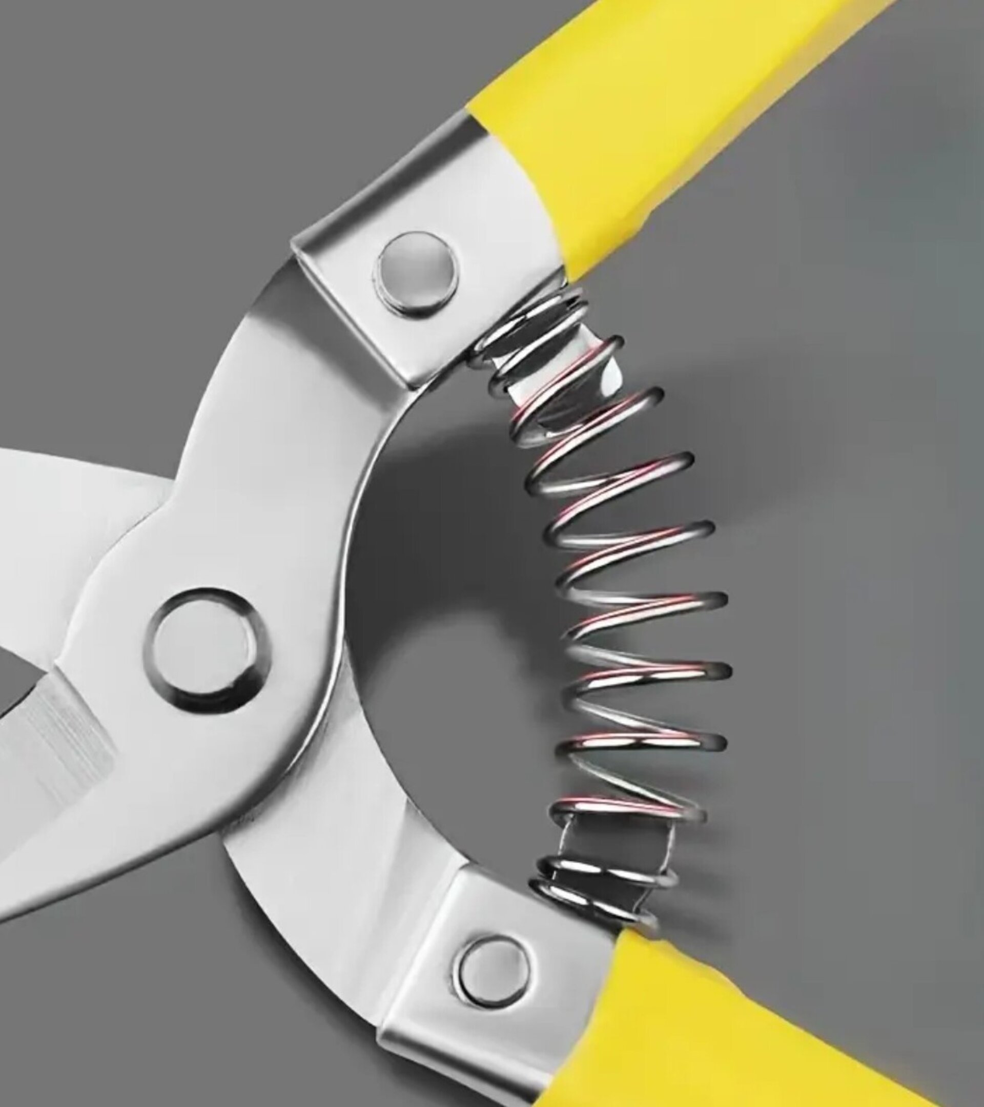 Tijeras De Ramas Amarillas - 5