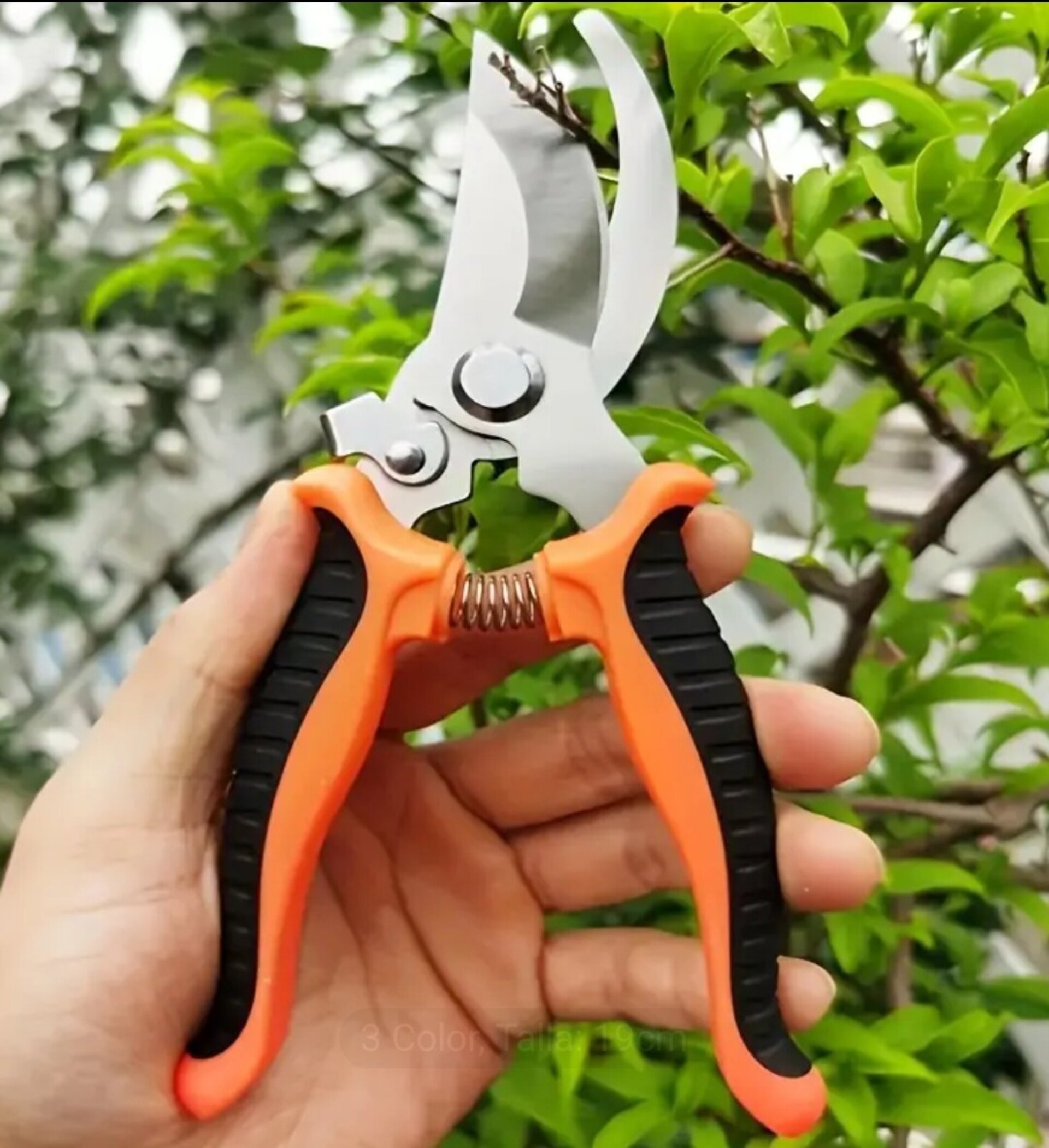 Tijeras De Podar Profesionales Naranja - 6