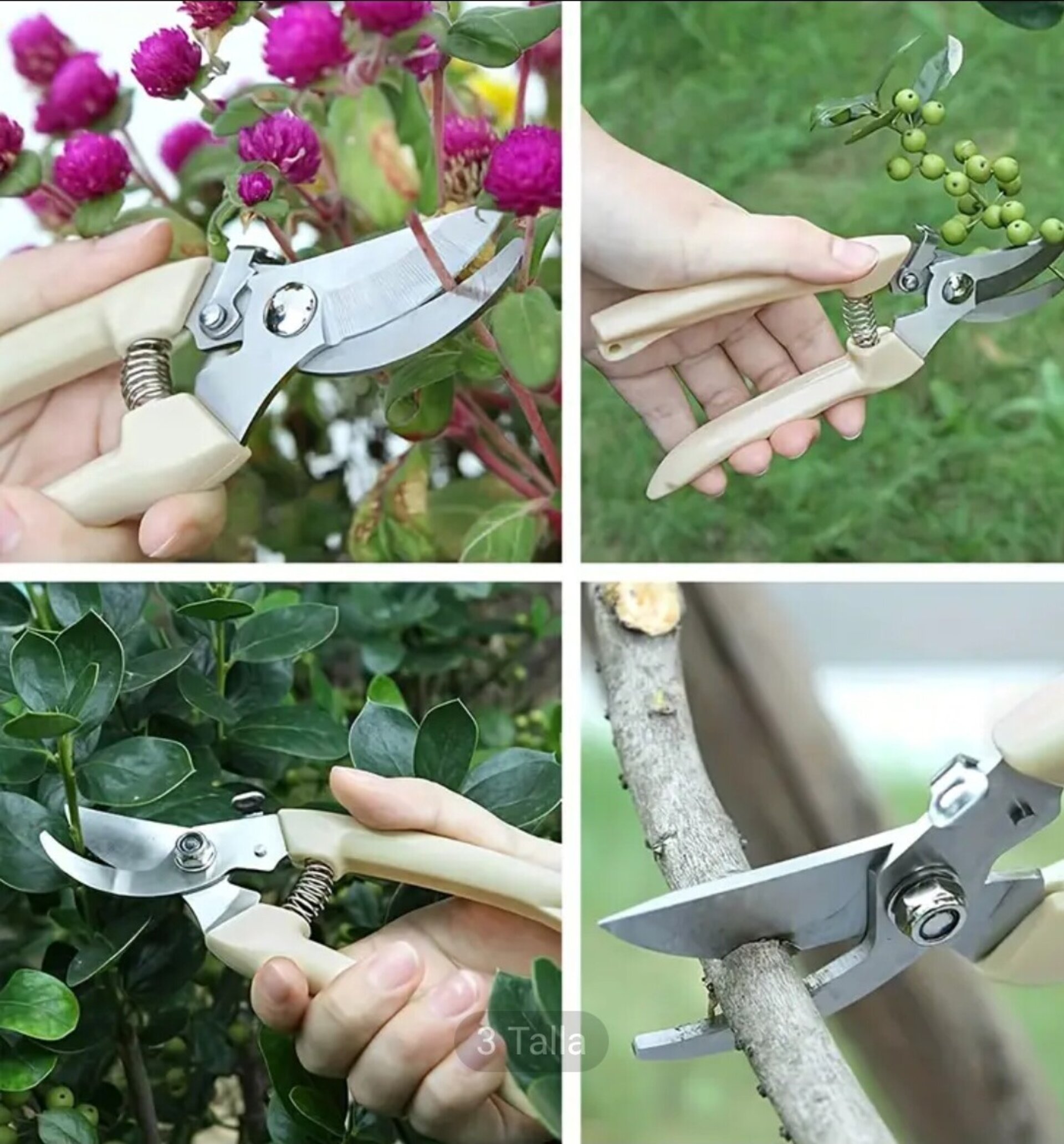 Tijera De Podar Crema - 6