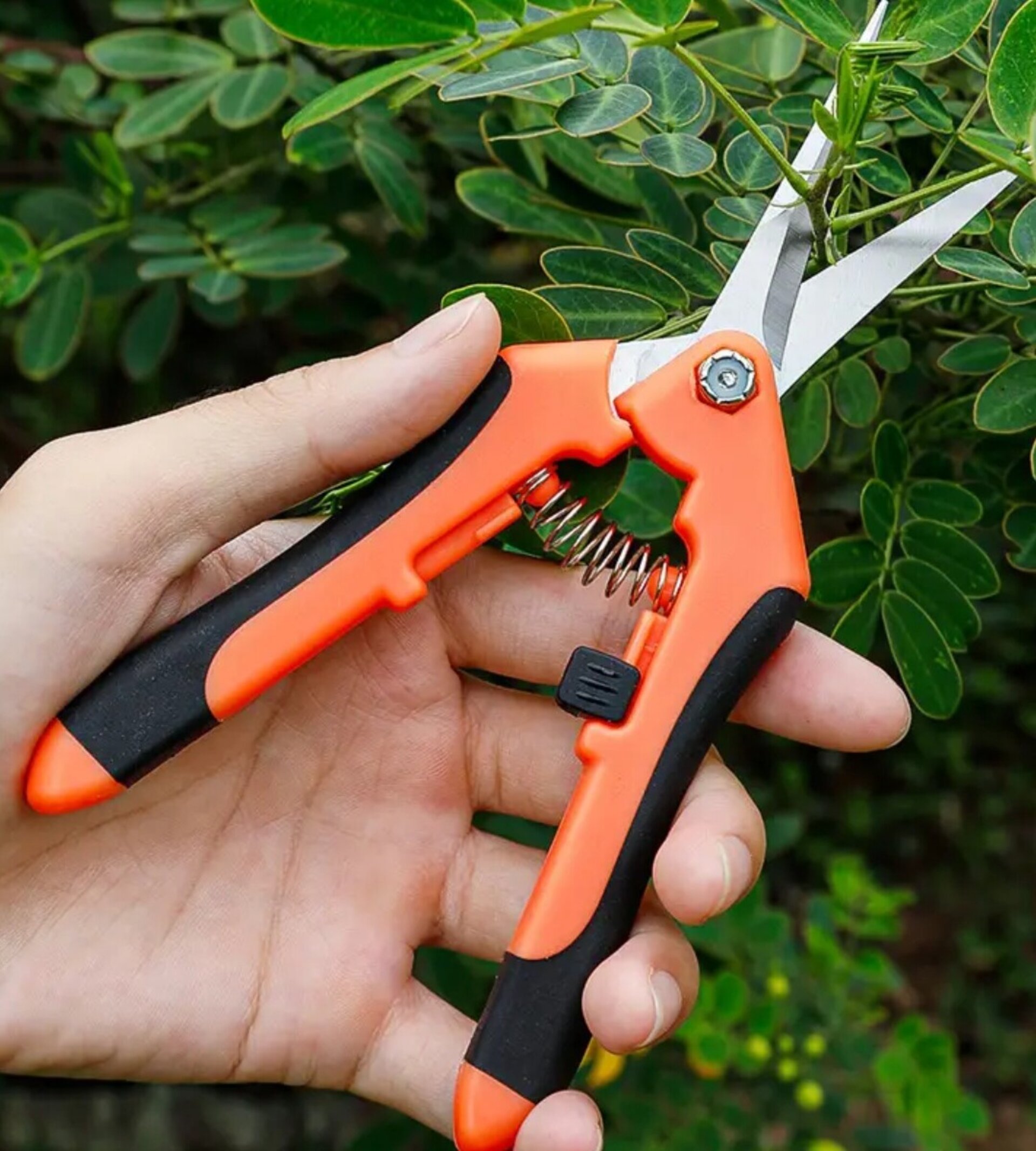 Tijera Para Recoger Fruta Naranja - 9