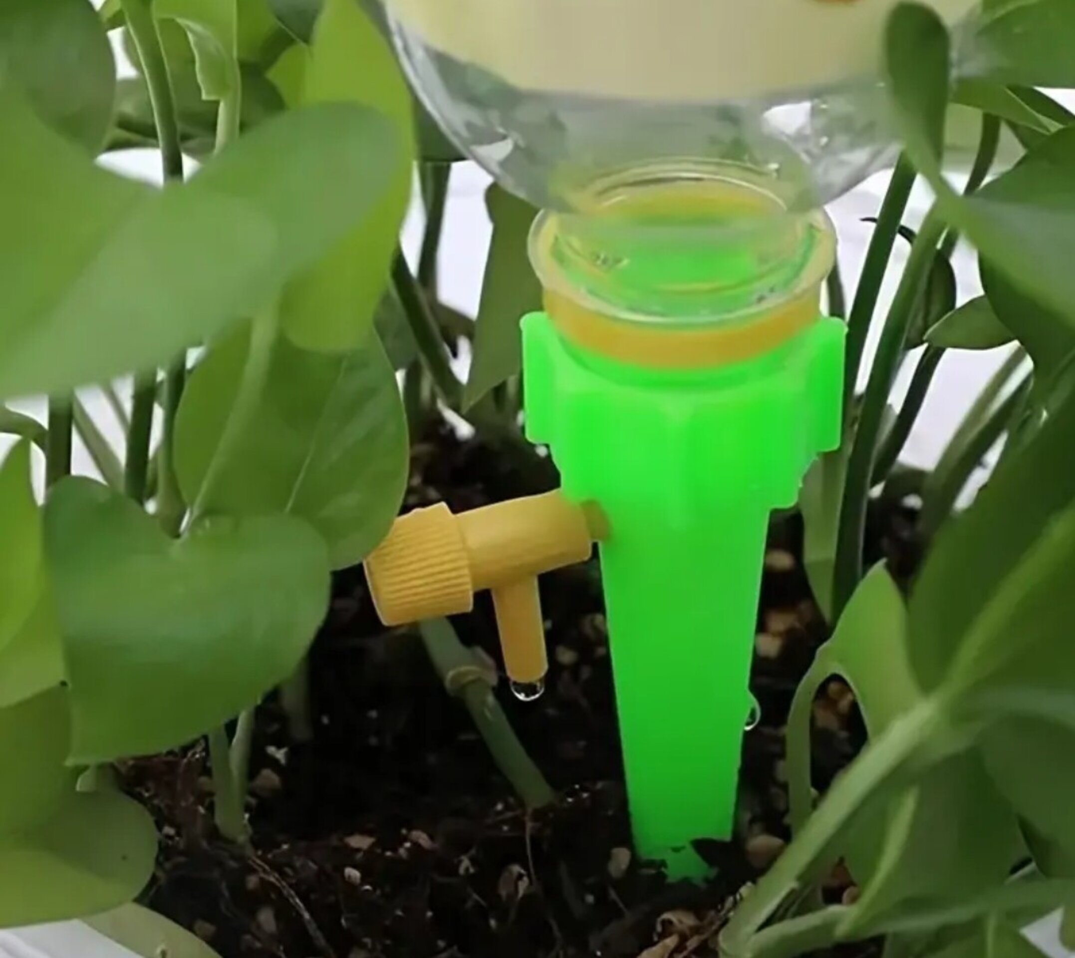 Riego automático - 2