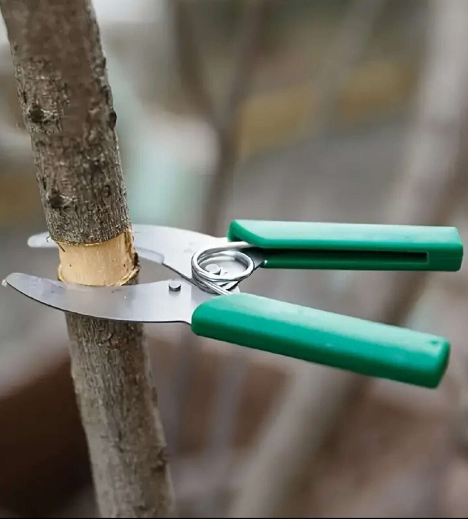 Cortador De Anillos - 3