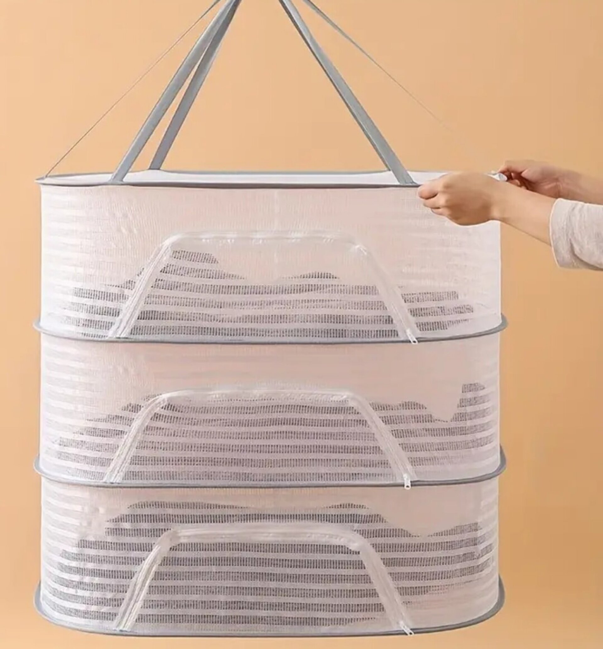 Secador Alimentos Profesional 3 Pisos - 4