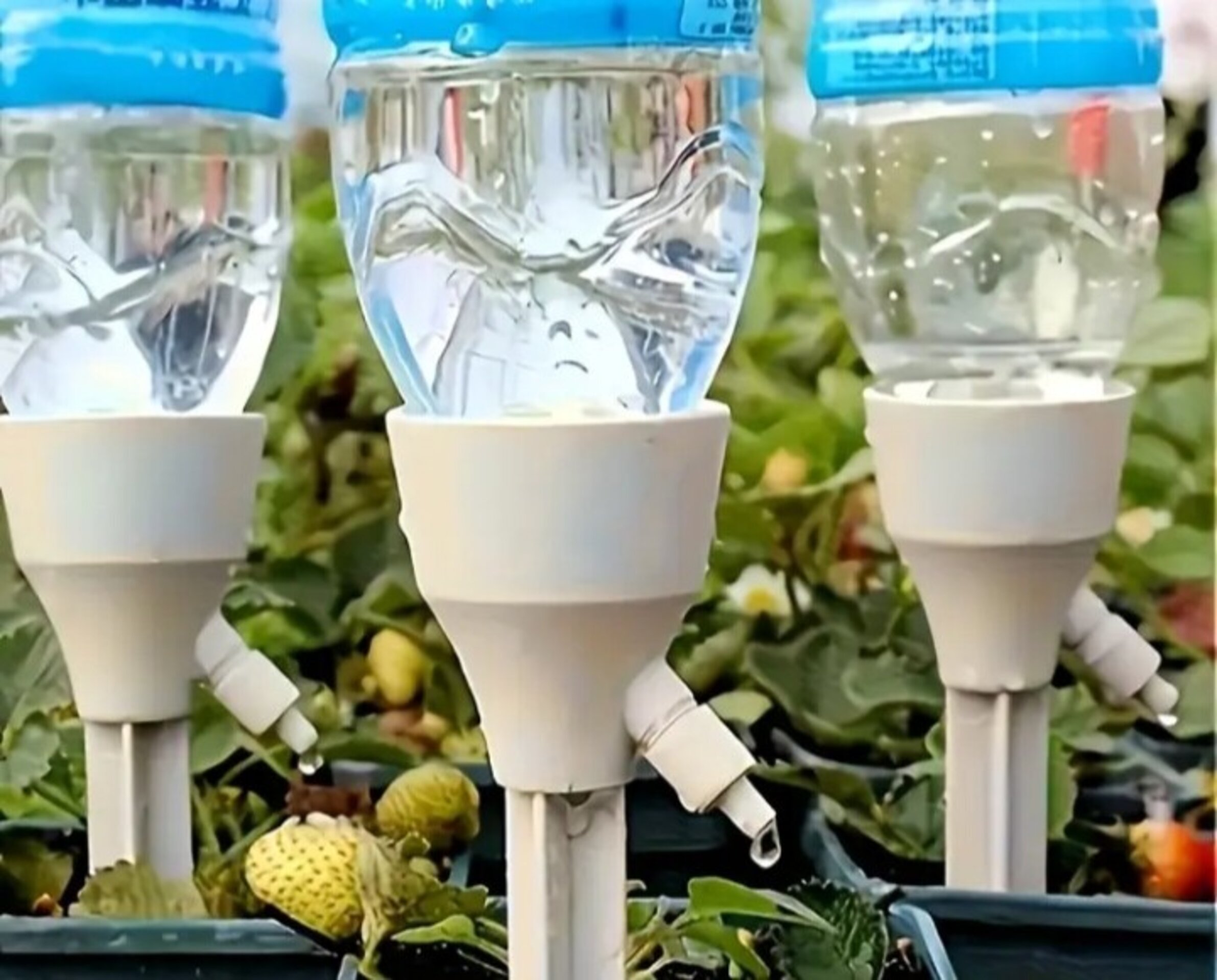 Riego Automático - 1